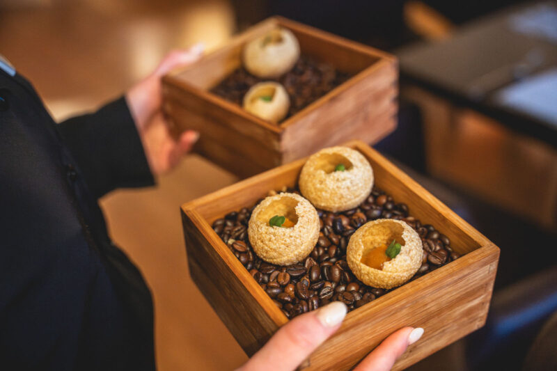 Drei knusprige Amuse-Bouche-Törtchen mit Fruchtkern, serviert in einer Holzbox auf Kaffeebohnen im Landhaus Begatal